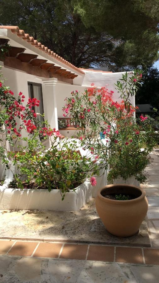 Viviendas Ferrer-Es Mal Pas Apartment San Francisco Javier ภายนอก รูปภาพ